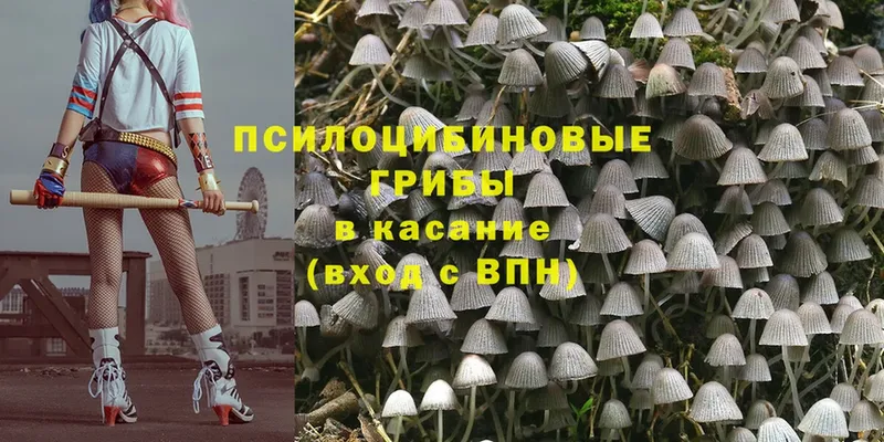 Псилоцибиновые грибы MAGIC MUSHROOMS  Пыталово 